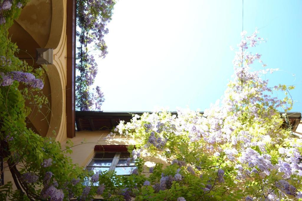 بارما Palazzo Dalla Rosa Prati المظهر الخارجي الصورة